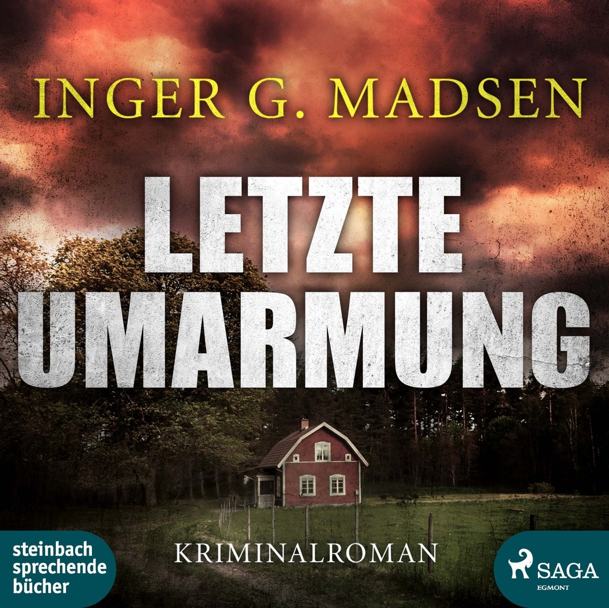 Letzte Umarmung: 3. Fall: 3. Fall, Lesung Detective & CSI
