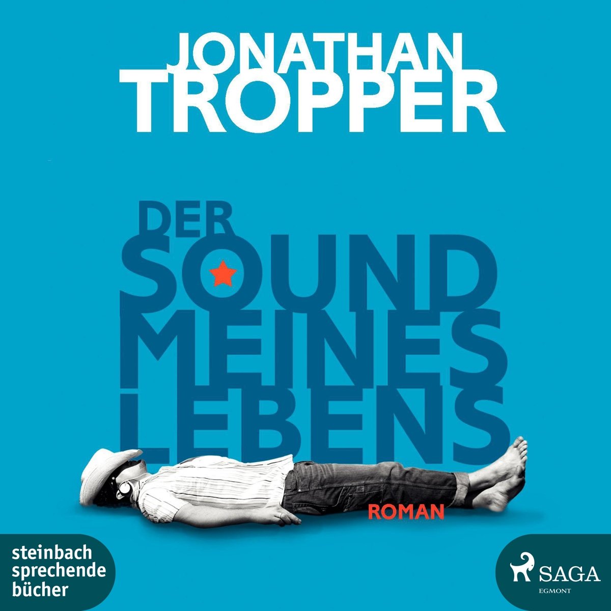 Der Sound meines Lebens Contemporary literature Books