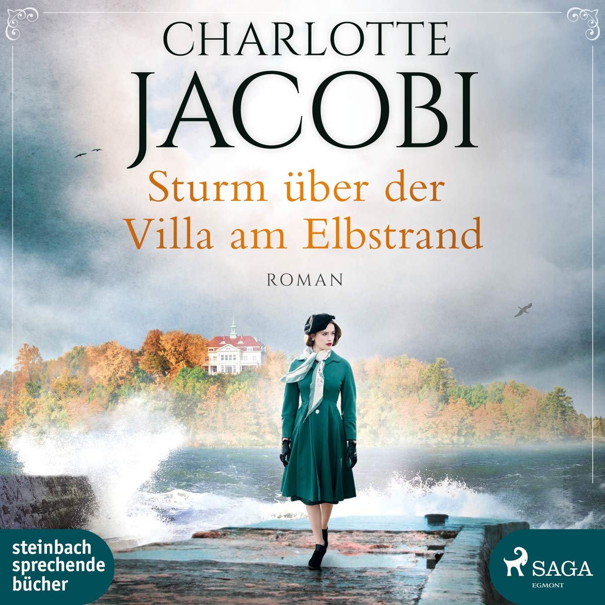 Sturm über der Villa am Elbstrand Contemporary literature