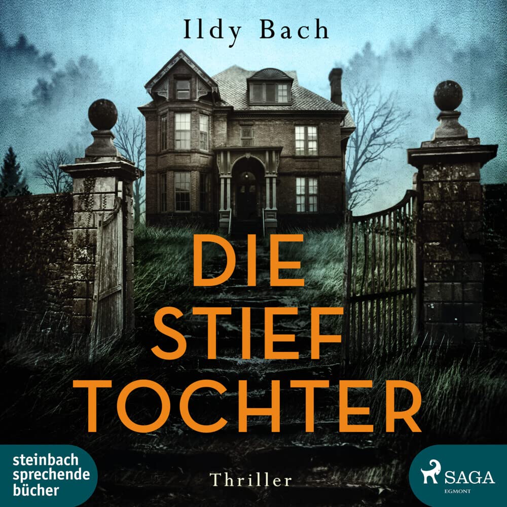 Die Stieftochter Contemporary literature Books