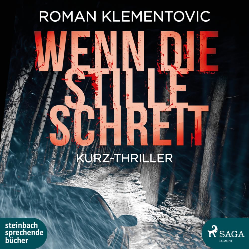 Wenn die Stille schreit Contemporary literature