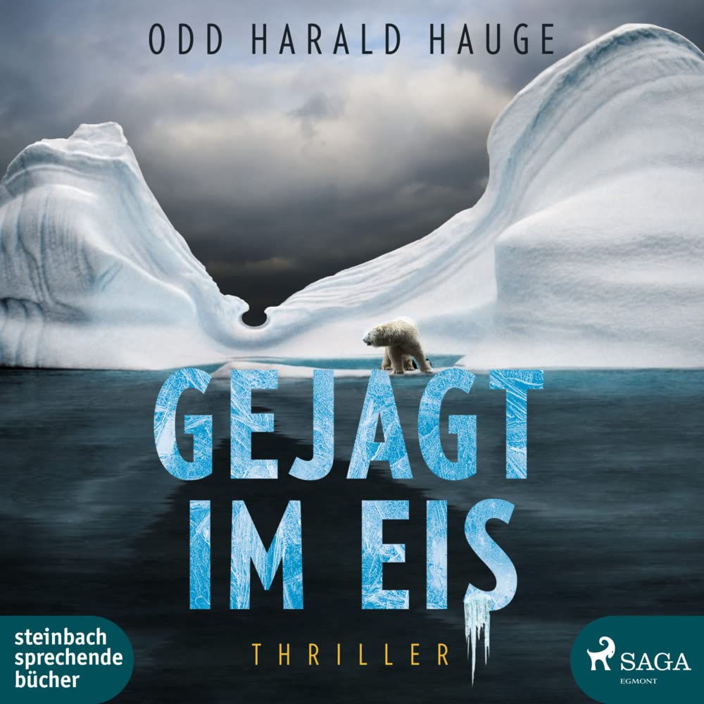 Product Image: Gejagt im Eis
