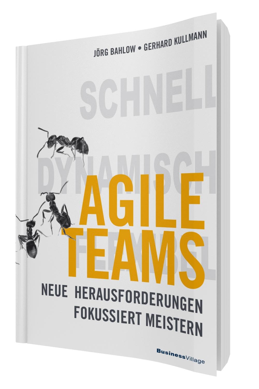 Agile Teams Law