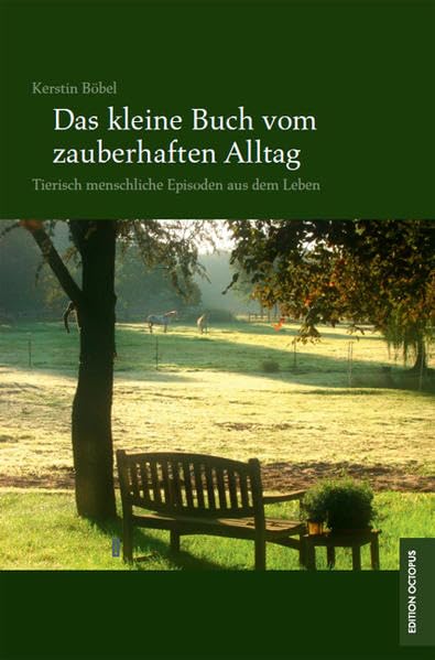 Das kleine Buch vom zauberhaften Alltag Contemporary literature