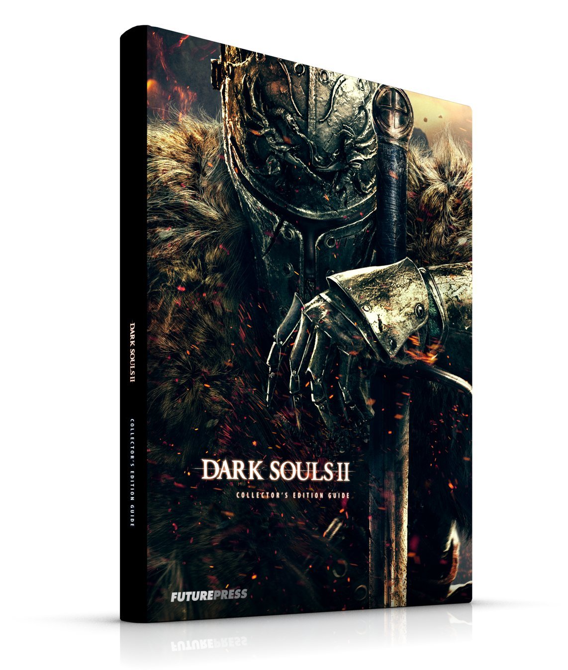 Dark Souls 2 - Collector's Edition (Lösungsbuch) Computer Science