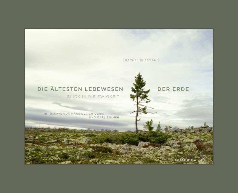 Die ältesten Lebewesen der Erde Philosophy
