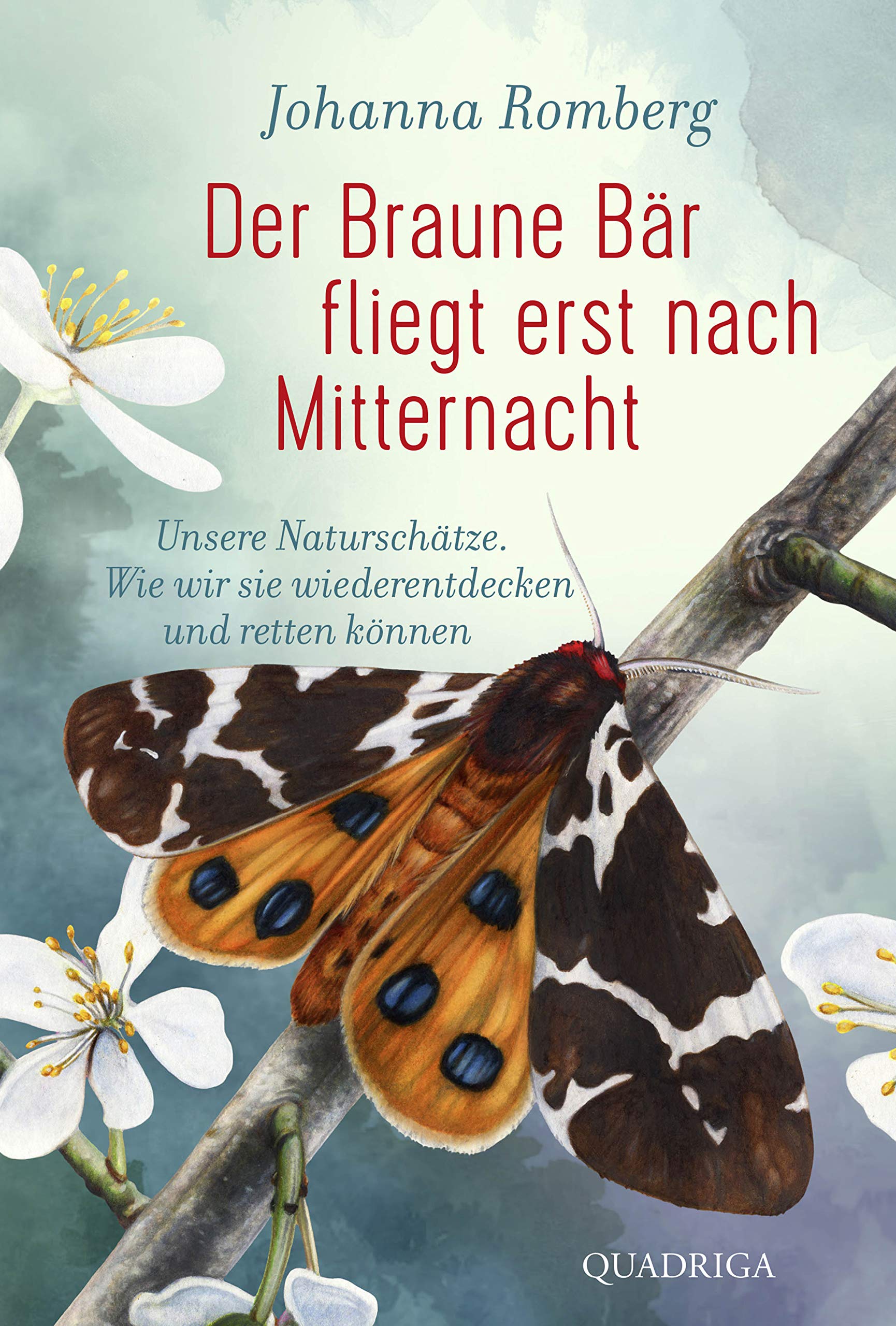 Der Braune Bär fliegt erst nach Mitternacht Mathematics