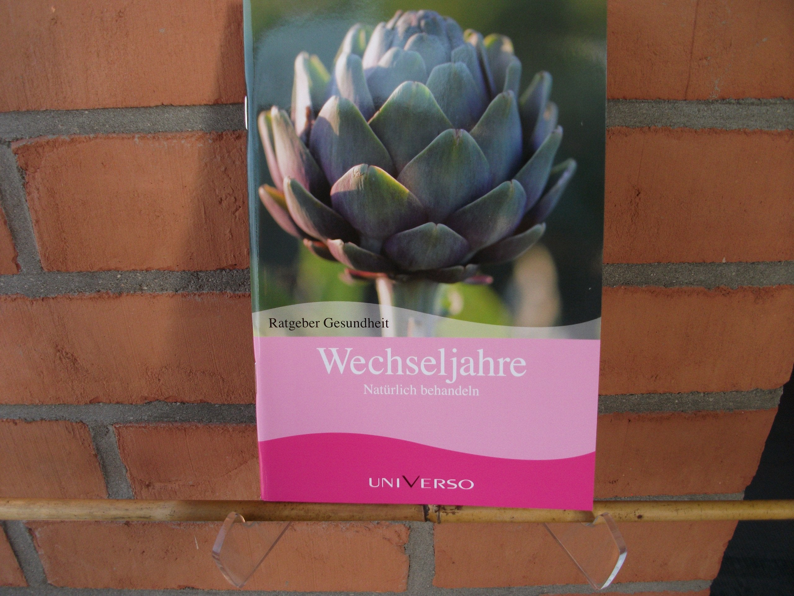 Ratgeber Gesundheit - Wechseljahre Books