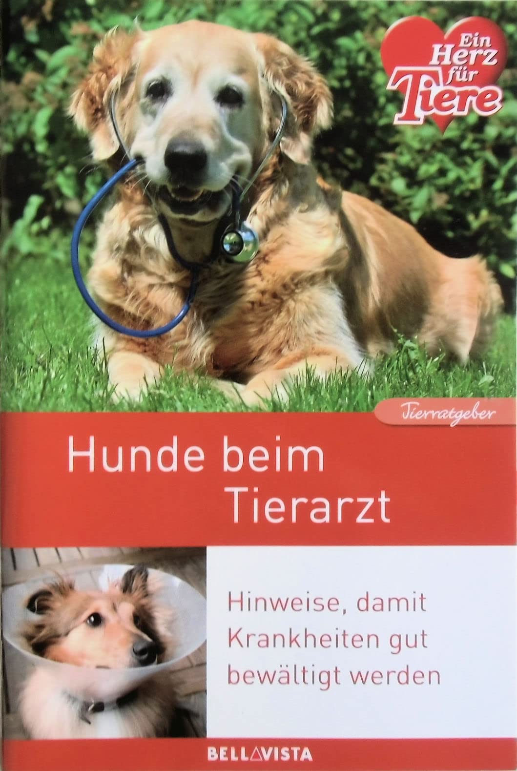 Ratgeber Tiere - Hunde beim Tierarzt. Hinweise, damit Krankheiten gut bewältigt werden Books