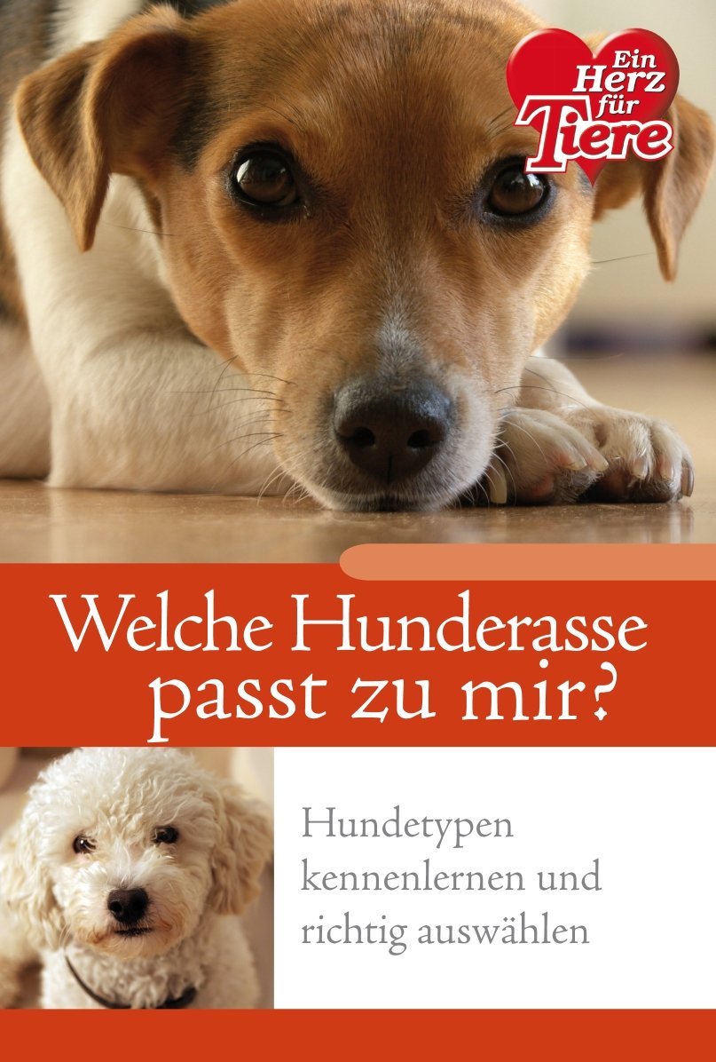 Ratgeber Tiere - Welche Hunderasse passt zu mir? Books