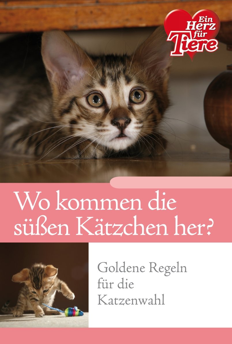 Ratgeber Tiere - Wo kommen die süßen Kätzchen her? Goldene Regeln für die Katzenwahl Books
