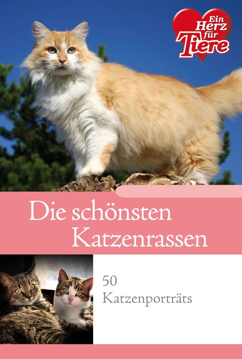 Ratgeber Tiere - Die schönsten Katzenrassen im Porträt Books