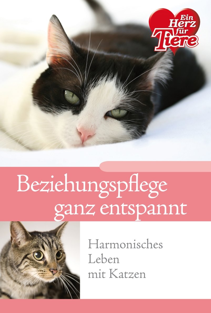 Beziehungspflege ganz entspannt. Harmonisches Leben mit Katzen Books