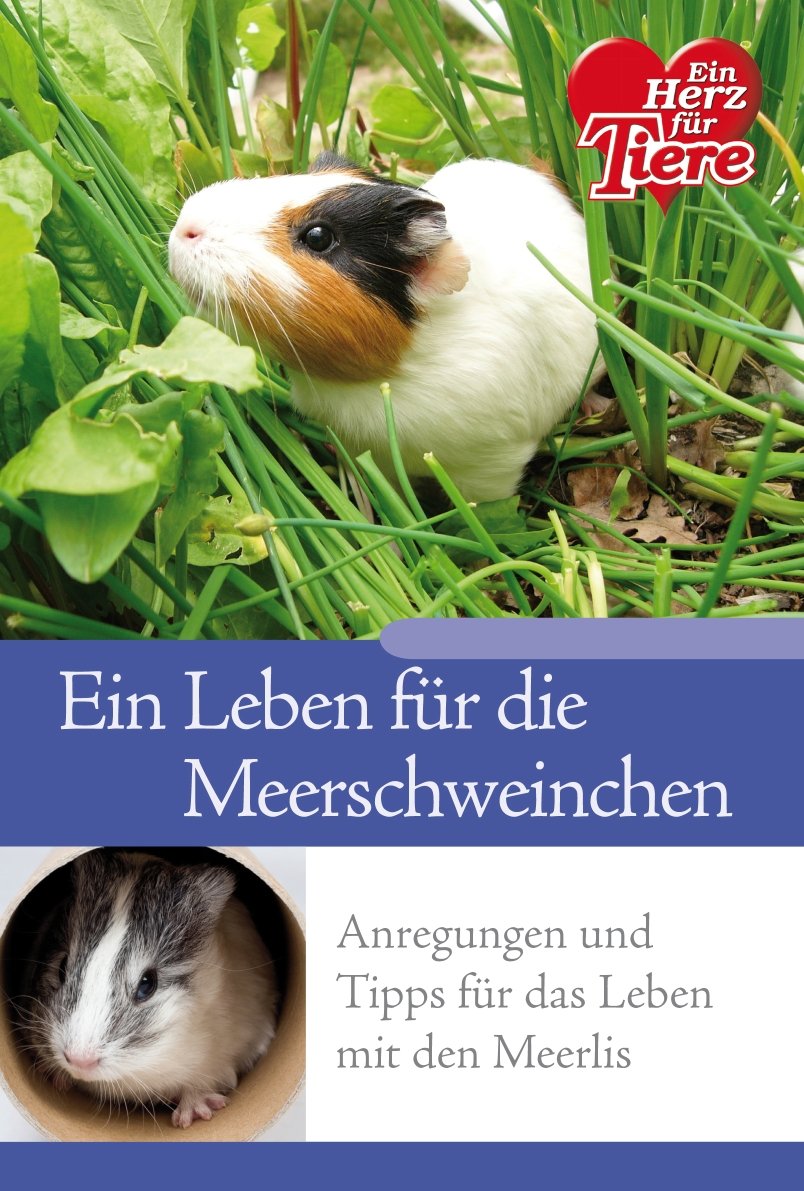 Ratgeber Tiere - Ein Leben für die Meerschweinchen - Anregungen und Tipps für das Leben mit Meerlis Books