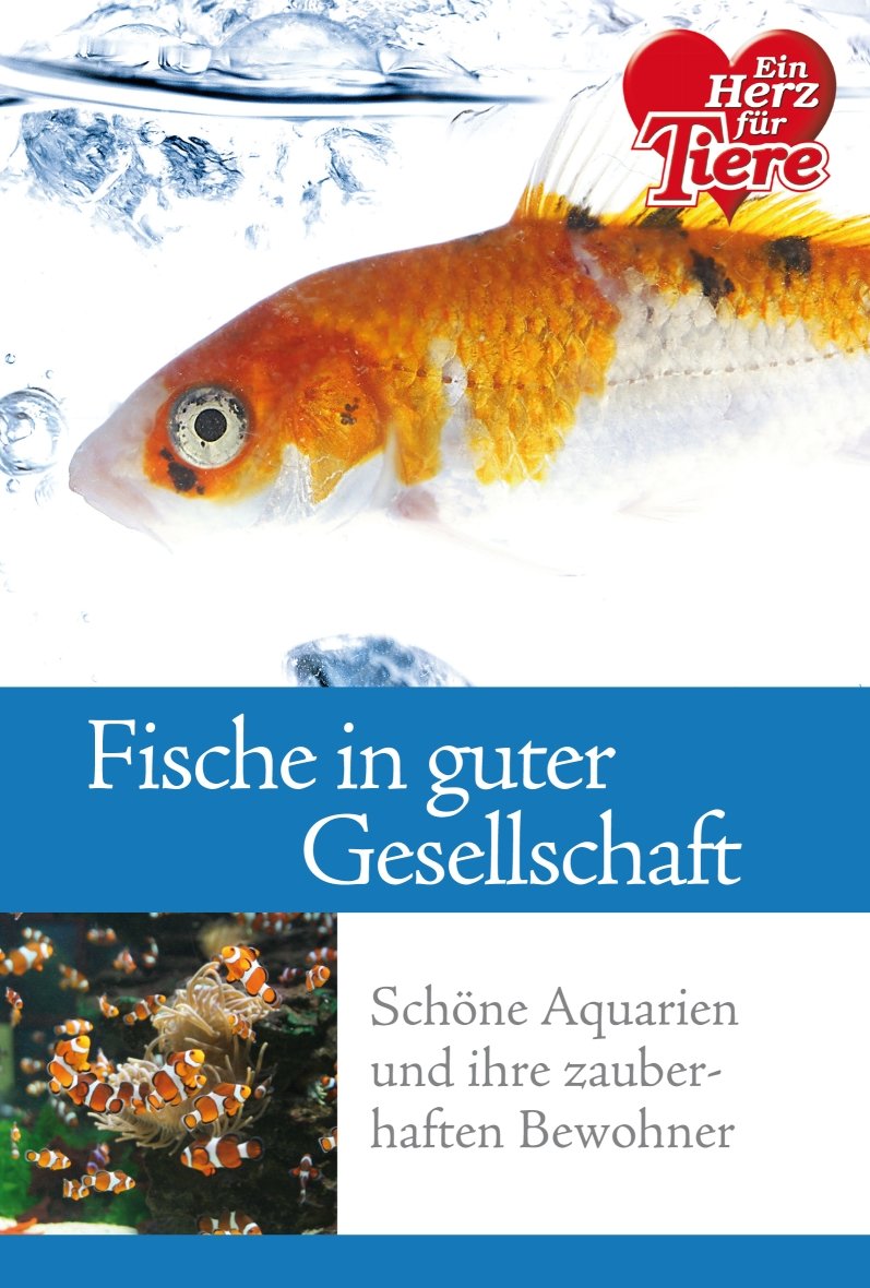 Fische in guter Gesellschaft. Schöne Aquarien und ihre zauberhaften Bewohner Books