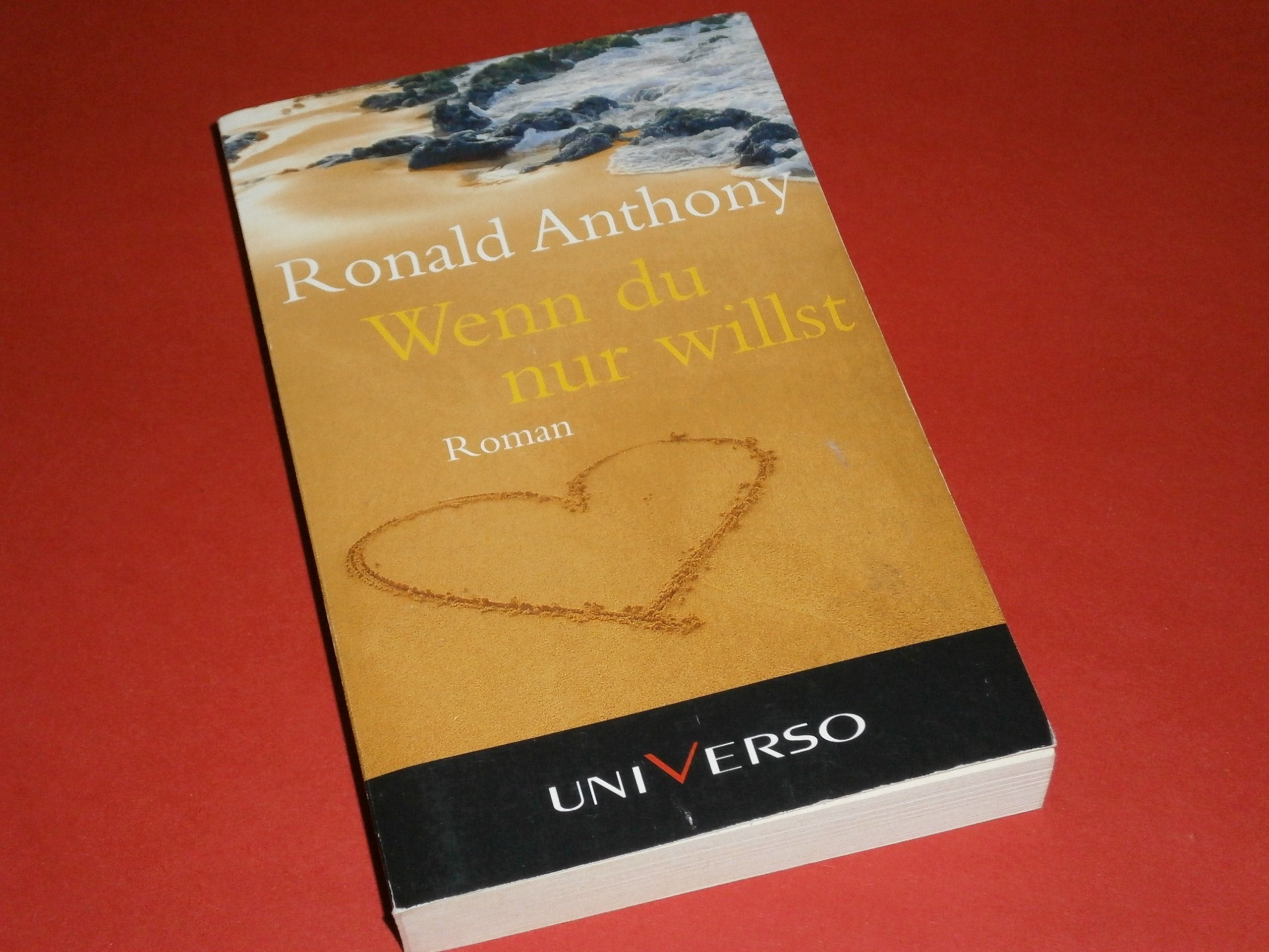 Wenn du nur willst Contemporary literature Books