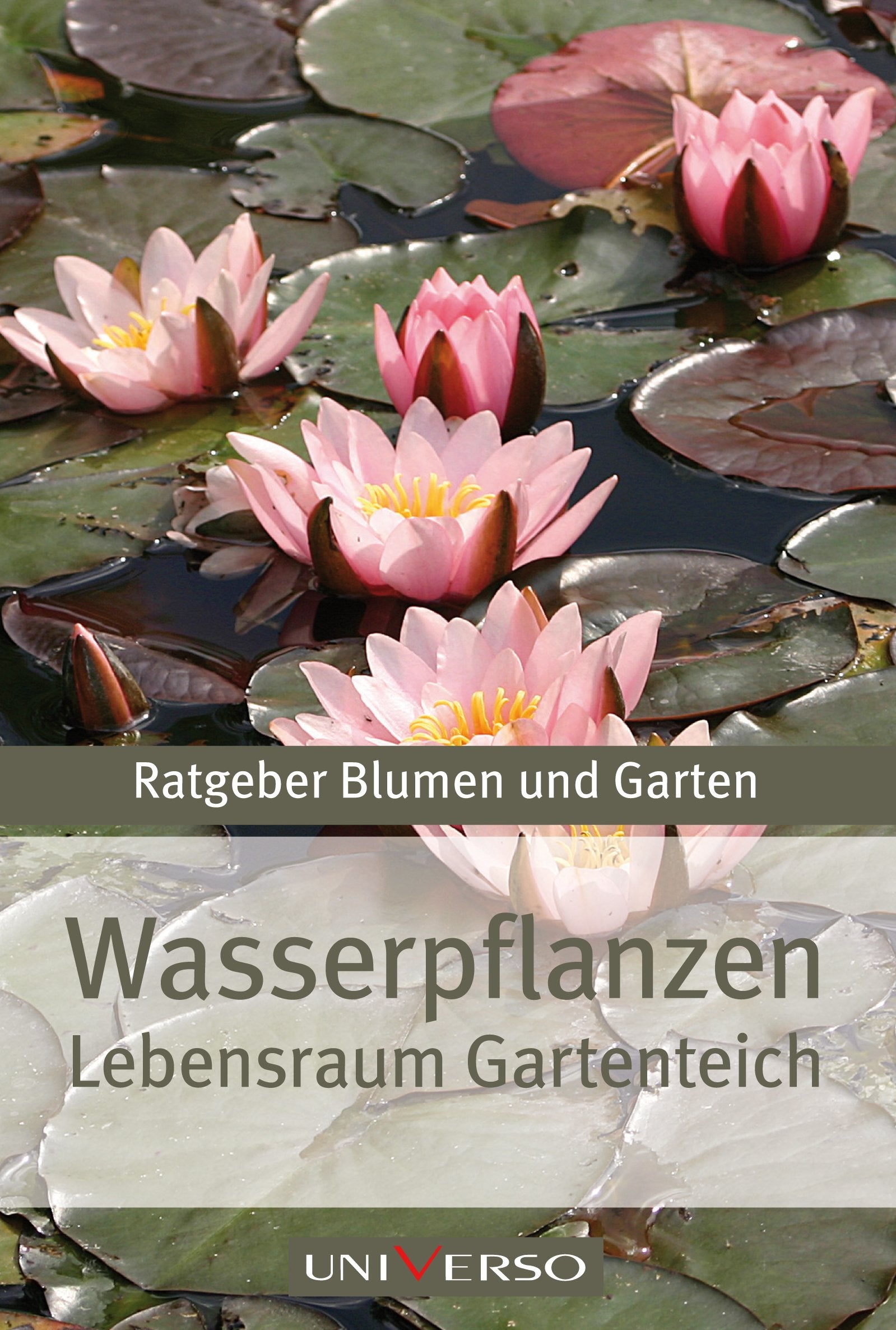 Ratgeber Garten - Wasserpflanzen - Lebensraum Gartenteich Leisure, Home & Garden