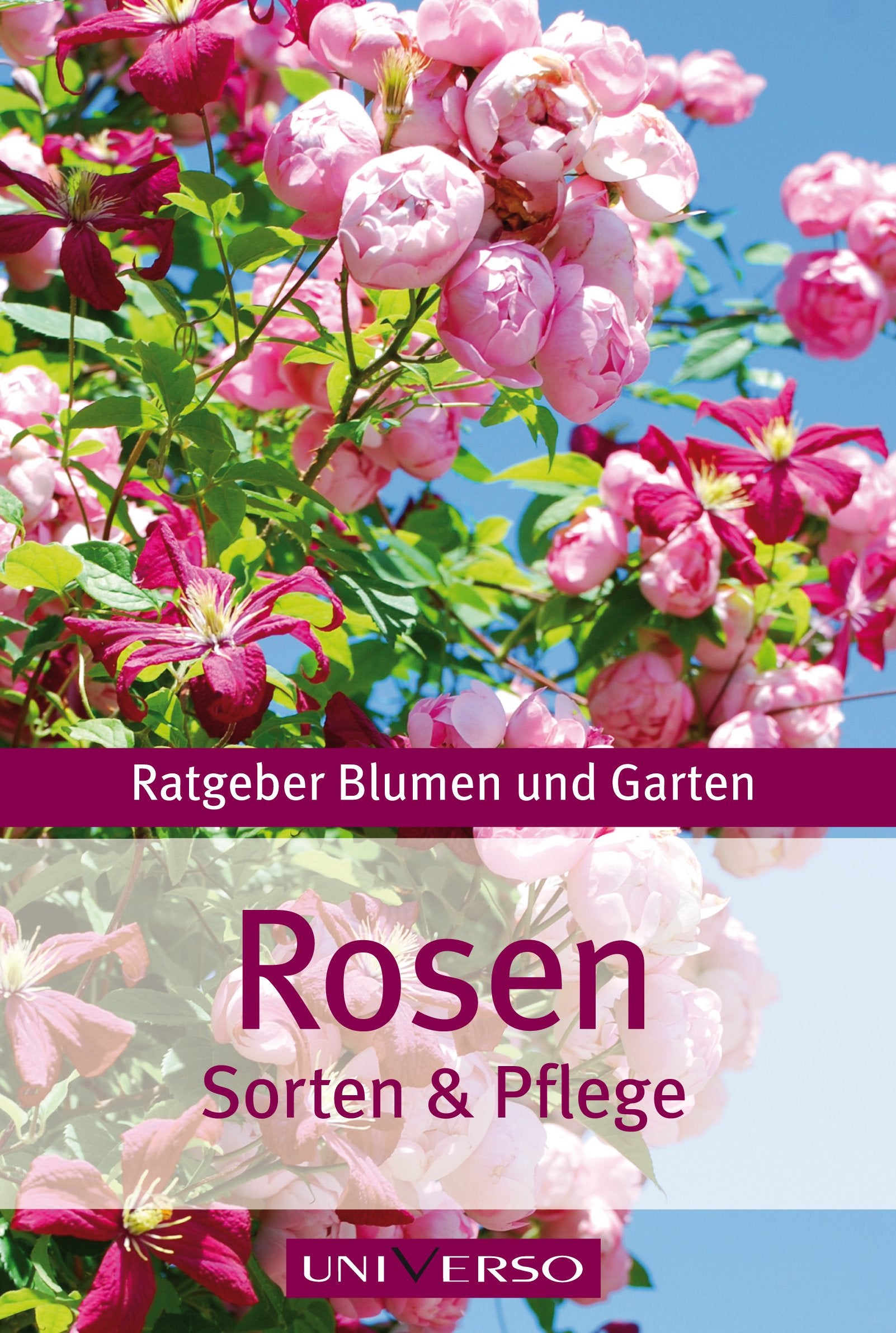 Ratgeber Garten - Rosen -Sorten & Pflege Leisure, Home & Garden