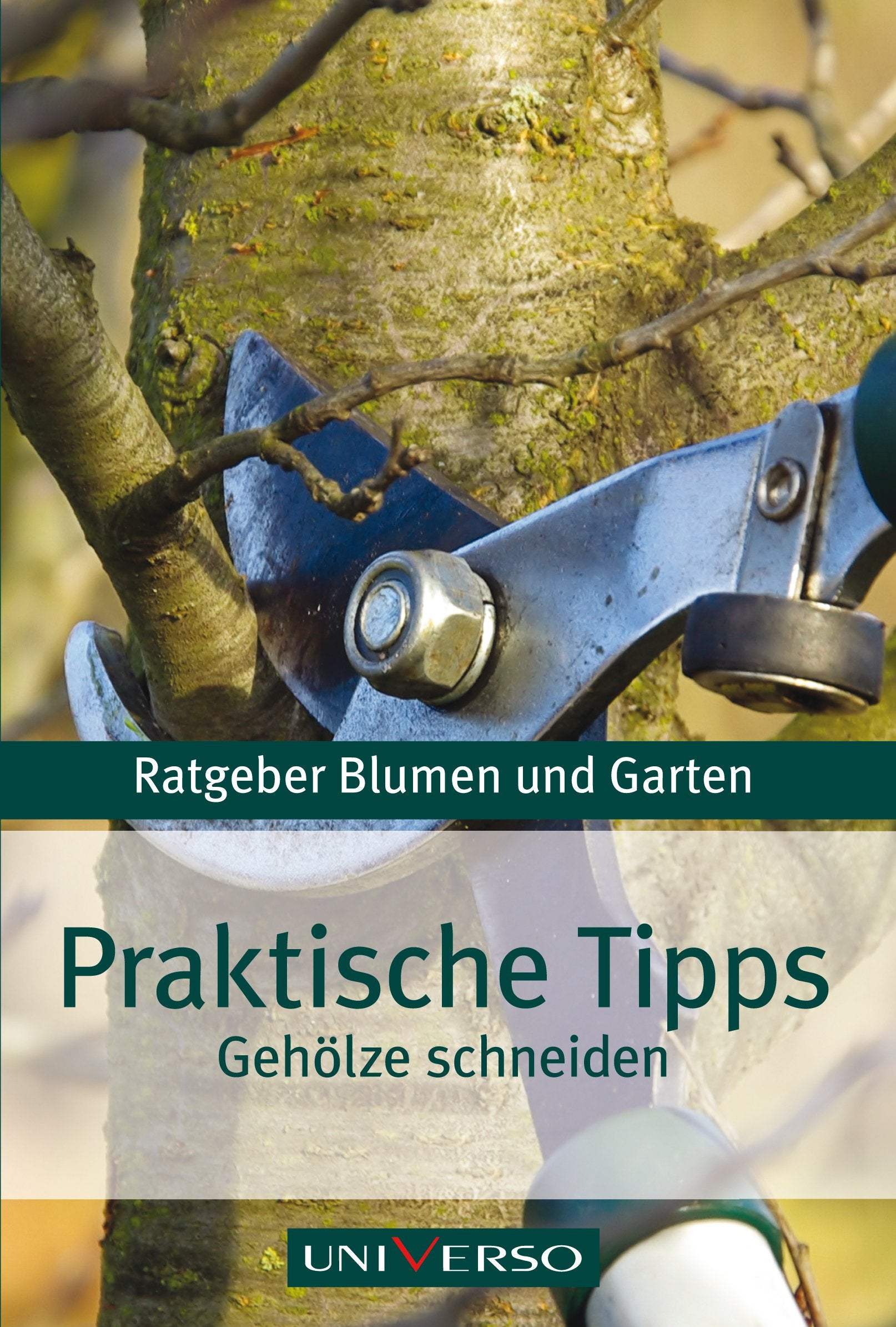 Ratgeber Garten - Praktische Tipps - Gehölze schneiden Leisure, Home & Garden
