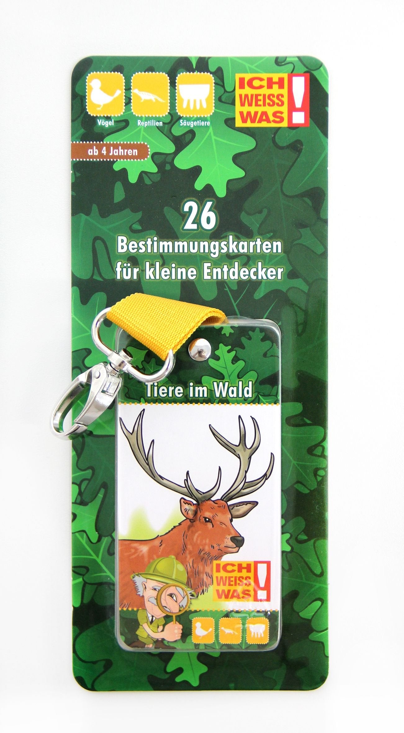 Albert E. - Bestimmungsblock mit Karabinerhaken | Tiere im Wald - Paletti book