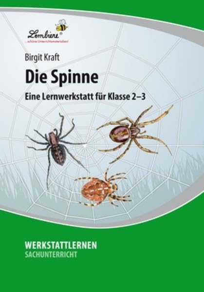 Die Spinne: Eine Lernwerkstatt für den Sachunterricht in Klasse 2 - 3, Werkstattmappe: Eine Lernwerkstatt für Klasse 2-3. Kopiervorlagen Study Guides
