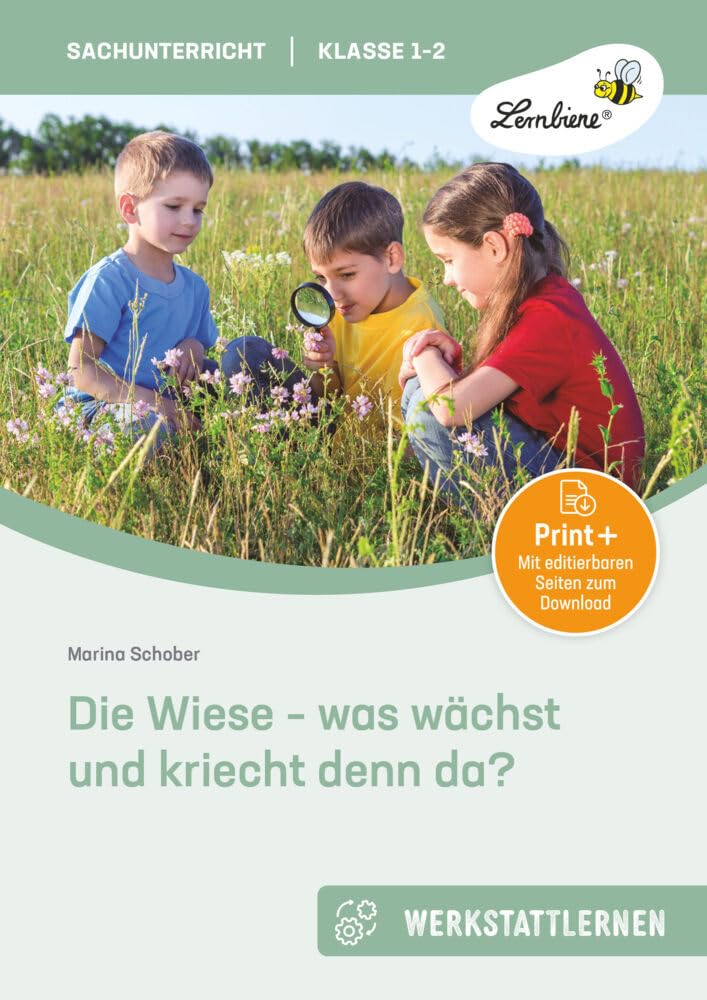 Die Wiese - was wächst und kriecht denn da? Professional & Reference Books