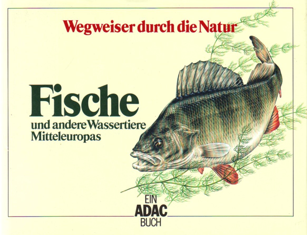 Fische und andere Wassertiere Mitteleuropas Film, Art & Culture