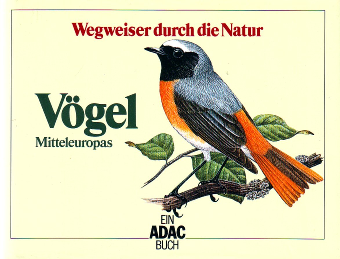 Vögel Mitteleuropas Film, Art & Culture