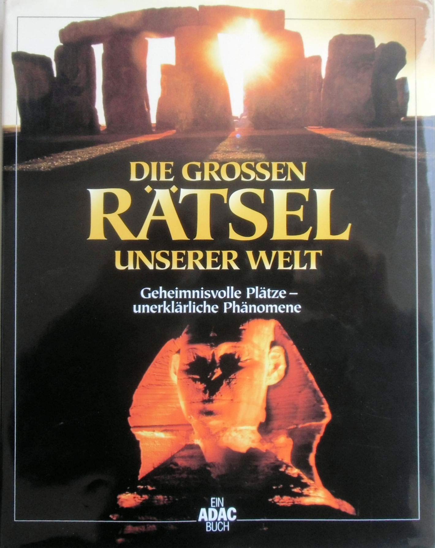 Die grossen Rätsel unserer Welt Contemporary literature