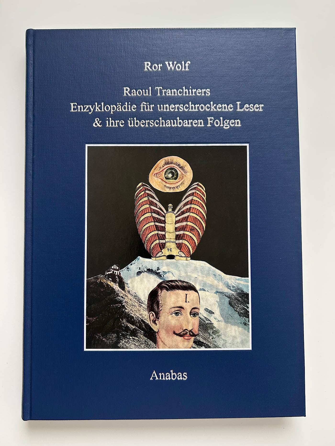 Raoul Tranchirers Enzyklopädie für unerschrockene Leser & ihre Überschaubaren Folgen.: Essays & Kritiken, Reste aus dem Stichwortleben sowie 80 neue ... dem Stichwortleben sowie 80 neue Collagen) Learning & Reference