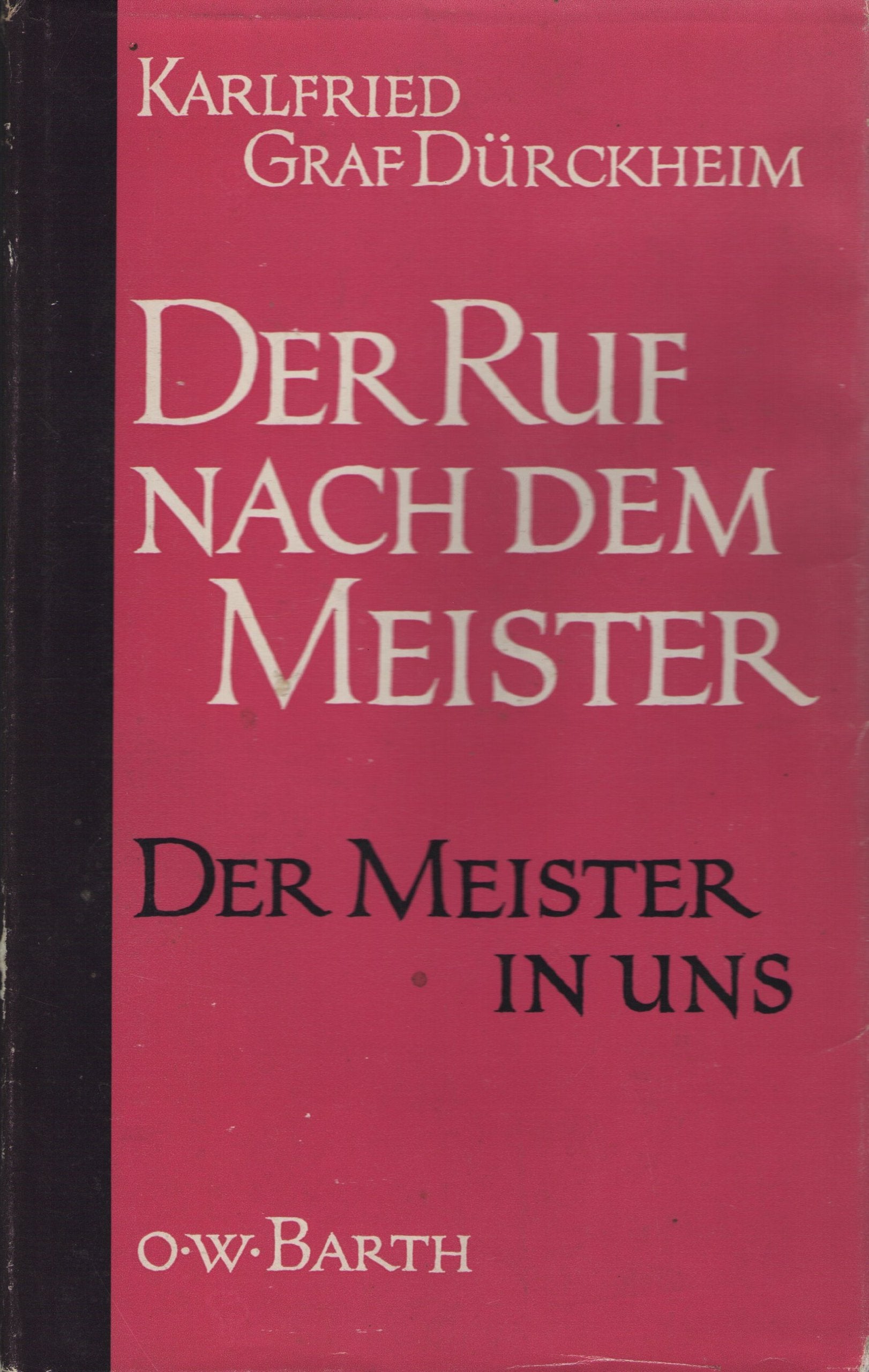 Der Ruf nach dem Meister: Die Bedeutung geistiger Führung auf dem Weg zum Selbst book