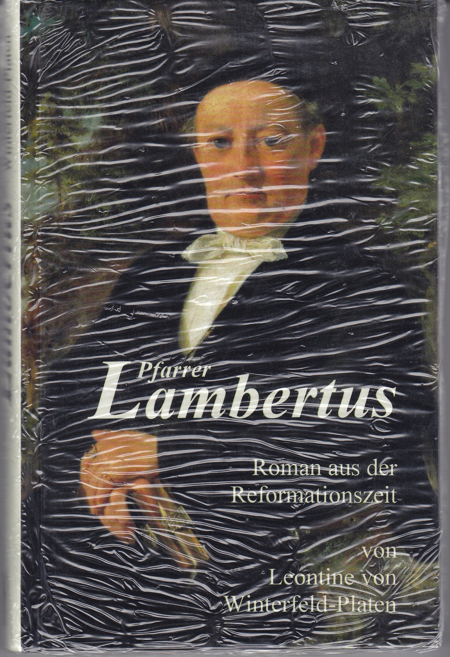 Pfarrer Lambertus: Roman aus der Reformationszeit Historical Fiction