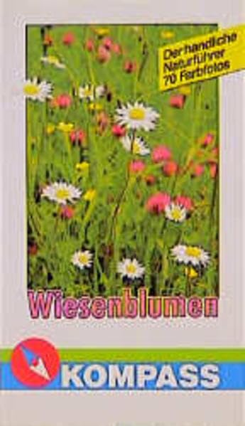 Wiesenblumen. Sehen und Verstehen Books