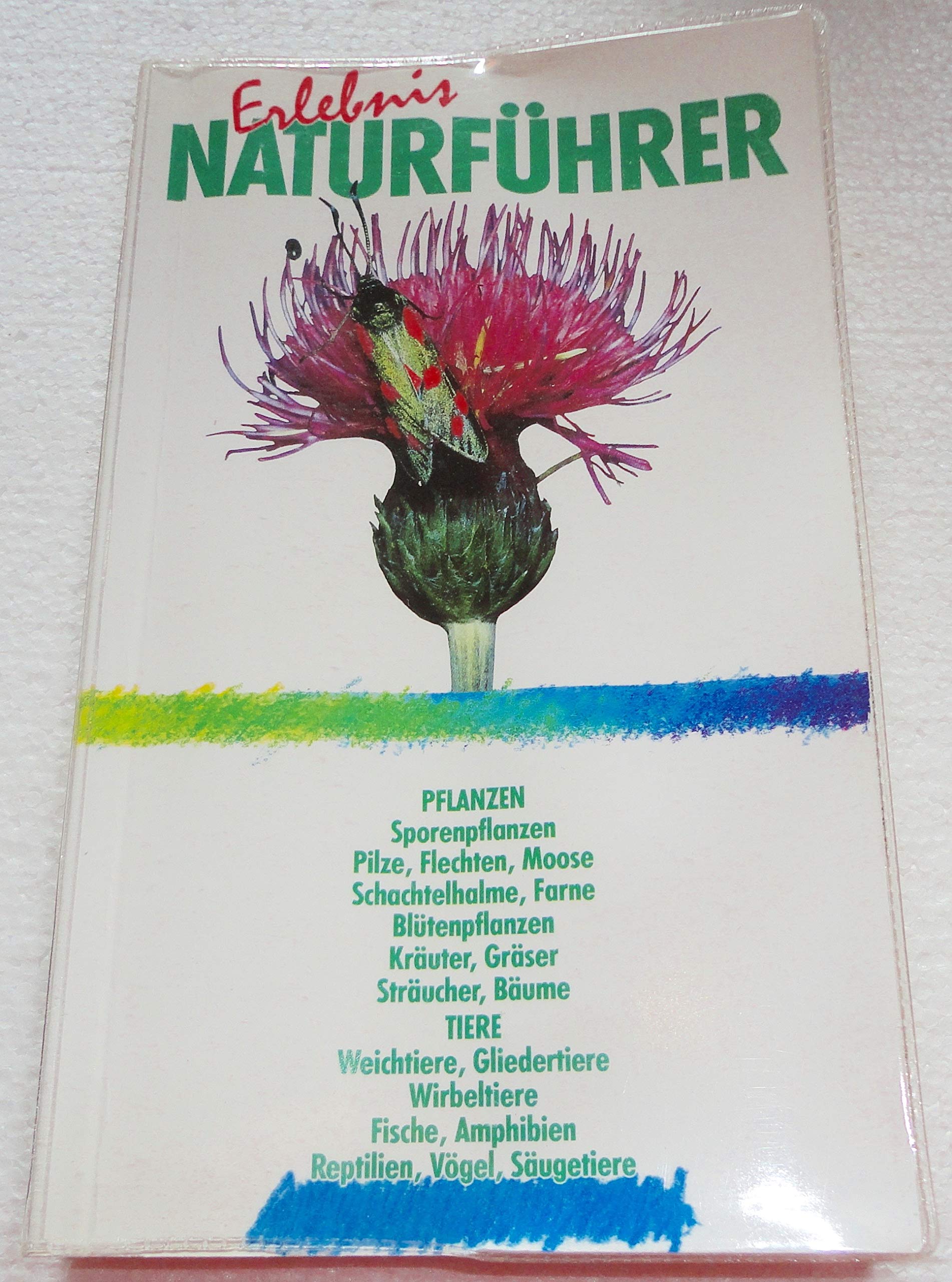 Grosser Natur-Kompass: Pflanzen und Tiere sehen und verstehen (KOMPASS Naturführer) Garden & Plants
