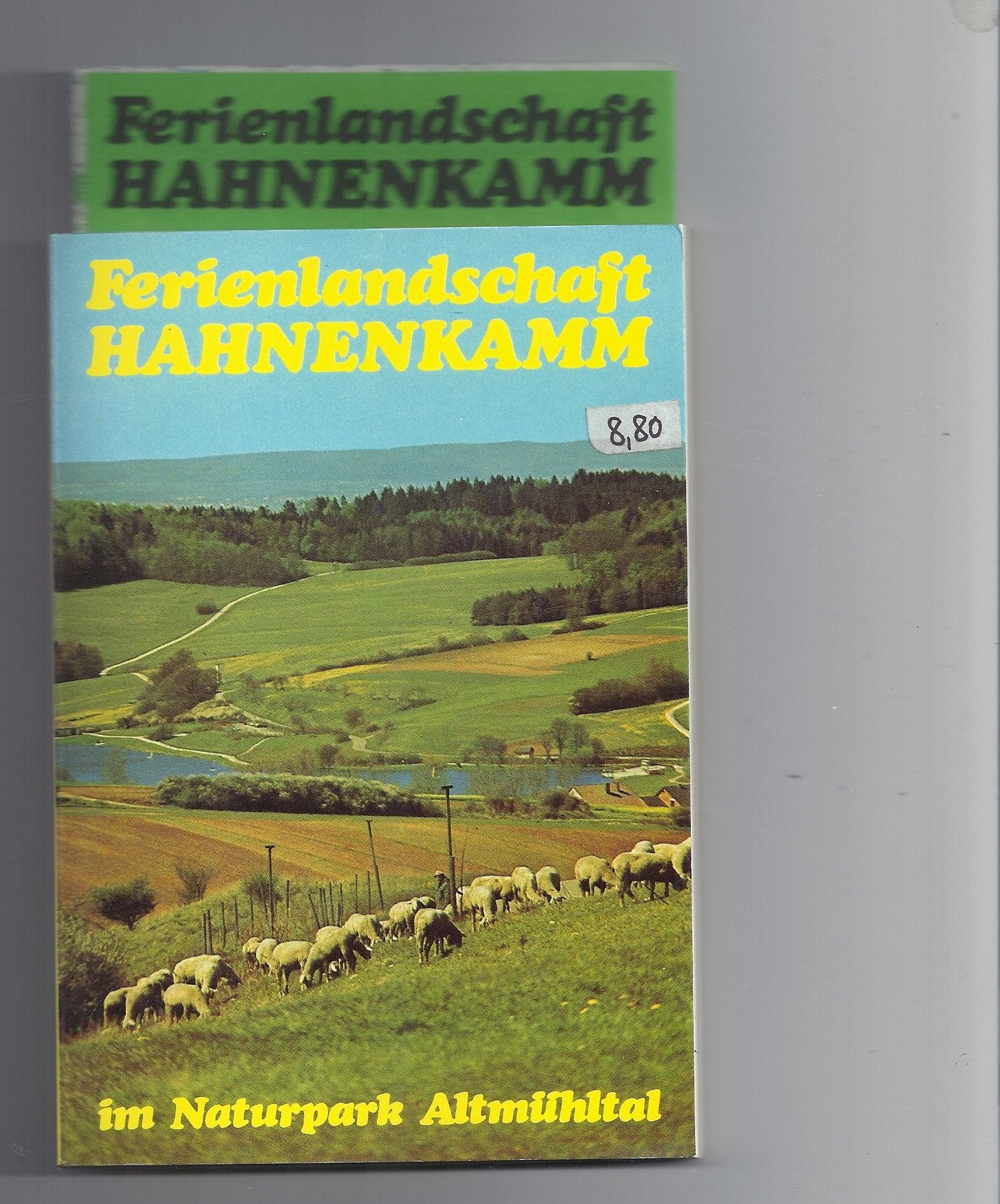 Ferienlandschaft Hahnenkamm im Naturpark Altmühltal: Ein Gebiets- und Wanderführer Travel