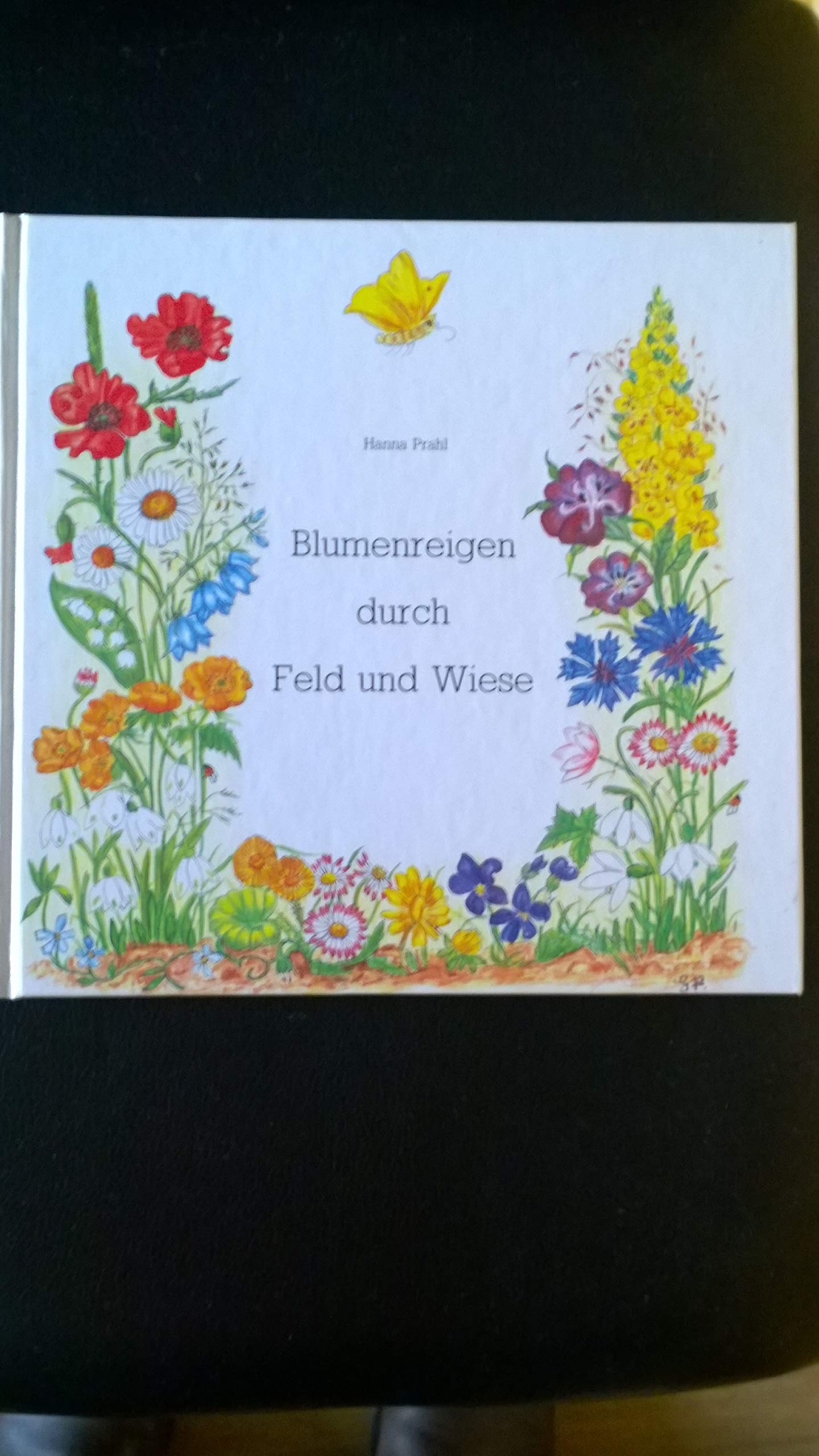 Blumenreigen durch Feld und Wiese Books