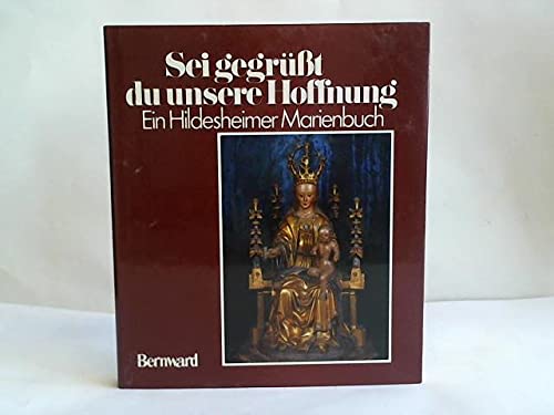 Sei gegrüßt, du unsere Hoffnung. Ein Hildesheimer Madonnenbuch Religion & Esotericism