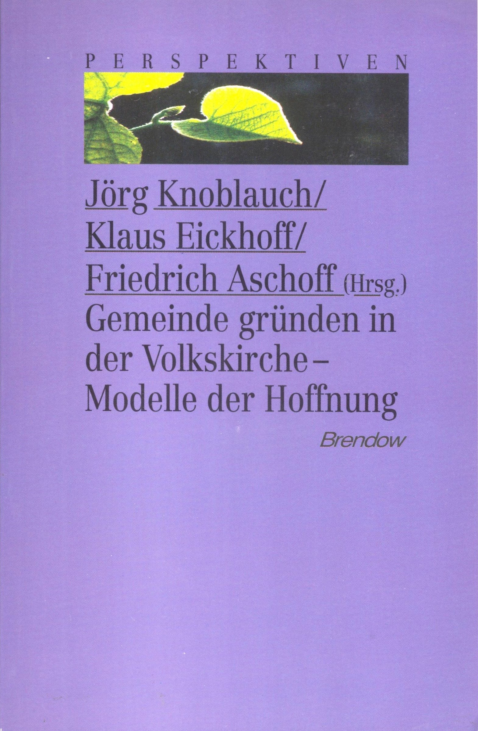 Gemeinde gründen in der Volkskirche. Modelle der Hoffnung. Professional & Reference Books