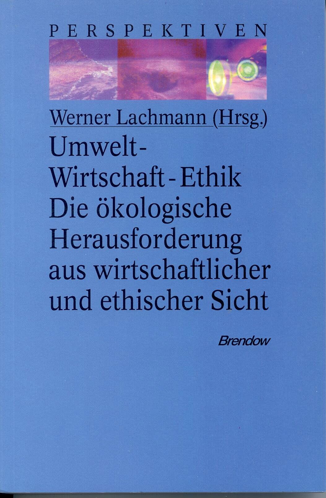 Umwelt - Wirtschaft - Ethik: Die ökologische Herausforderung aus wirtschaftlicher und ethischer Sicht (Edition C - C) Business & Technology