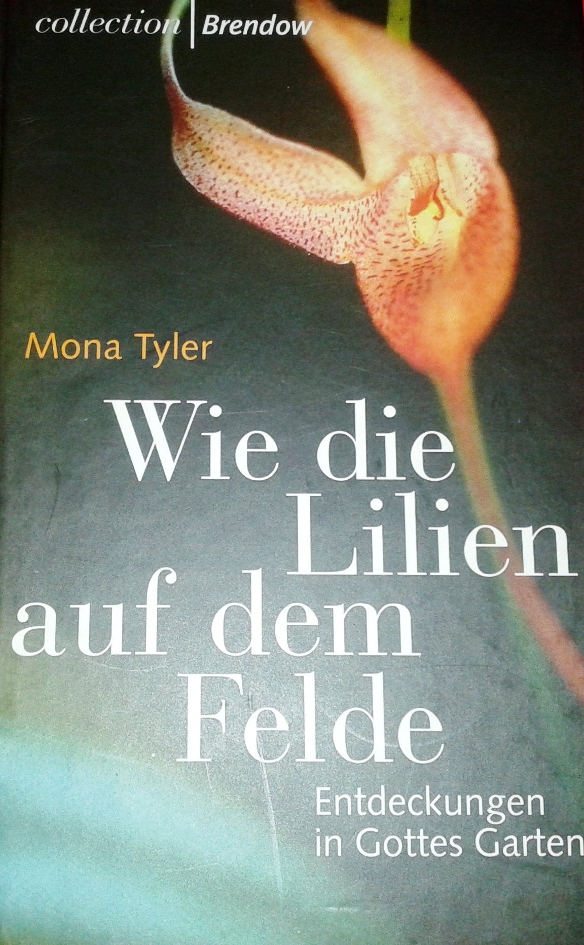 Wie die Lilien auf dem Felde: Entdeckungen in Gottes Garten (Edition C - C) Leisure, Home & Garden