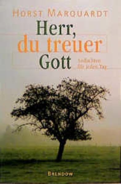 Herr, du treuer Gott: Andachten für jeden Tag (Edition C - C) Religion & Esotericism