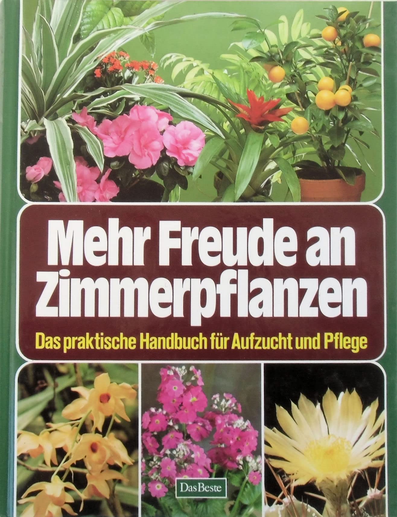 Mehr Freude an Zimmerpflanzen: Das praktische Handbuch für Aufzucht und Pflege Learning & Reference
