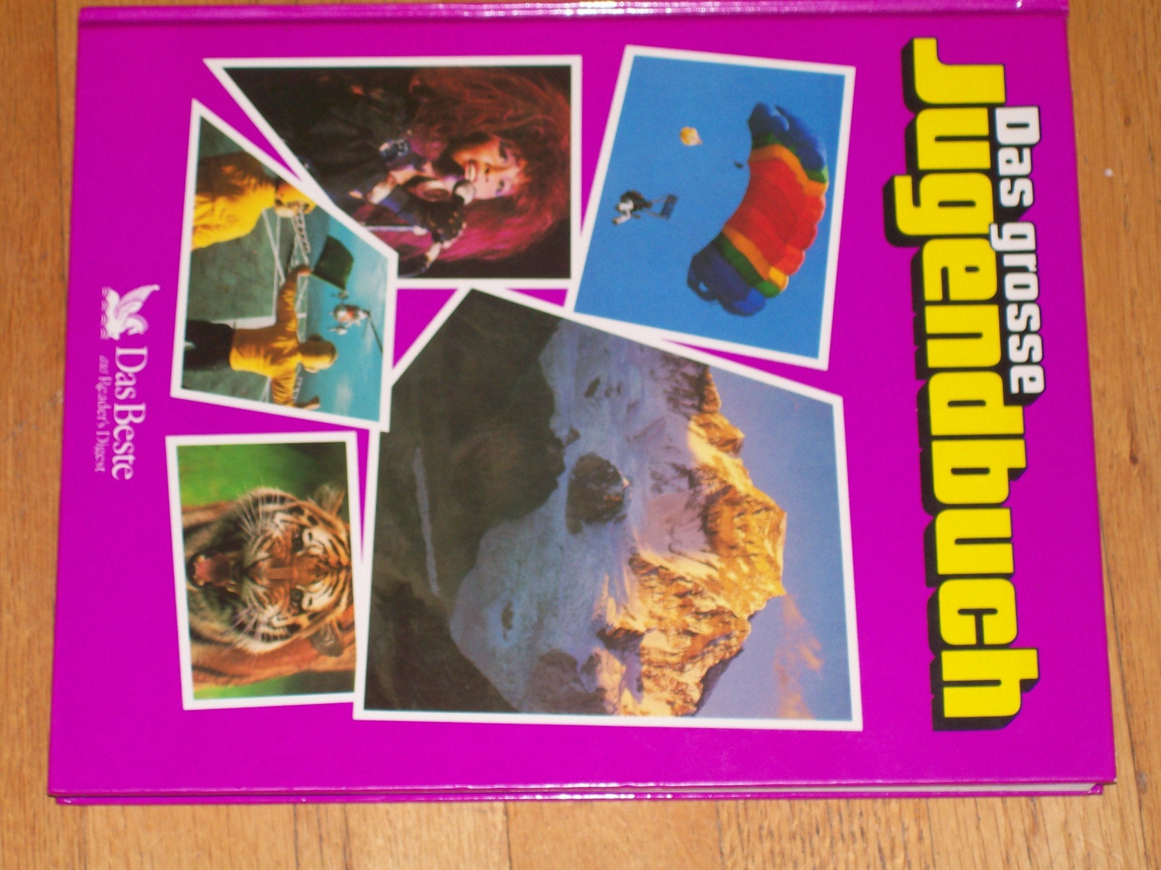 Das grosse Jugendbuch: 30. Folge Books