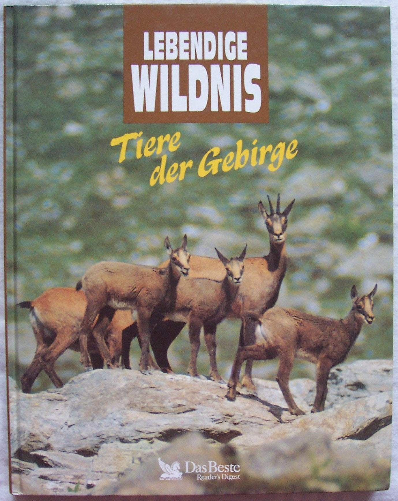 Tiere der Gebirge (Lebendige Wildnis) Second-hand books on film, art and culture