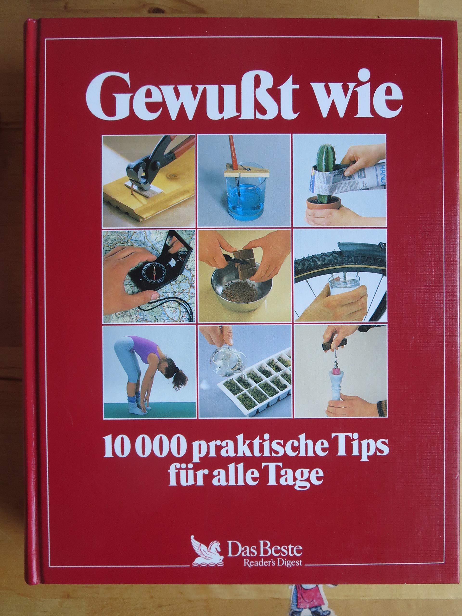 Gewusst wie 10000 praktische Tips für alle Tage Books