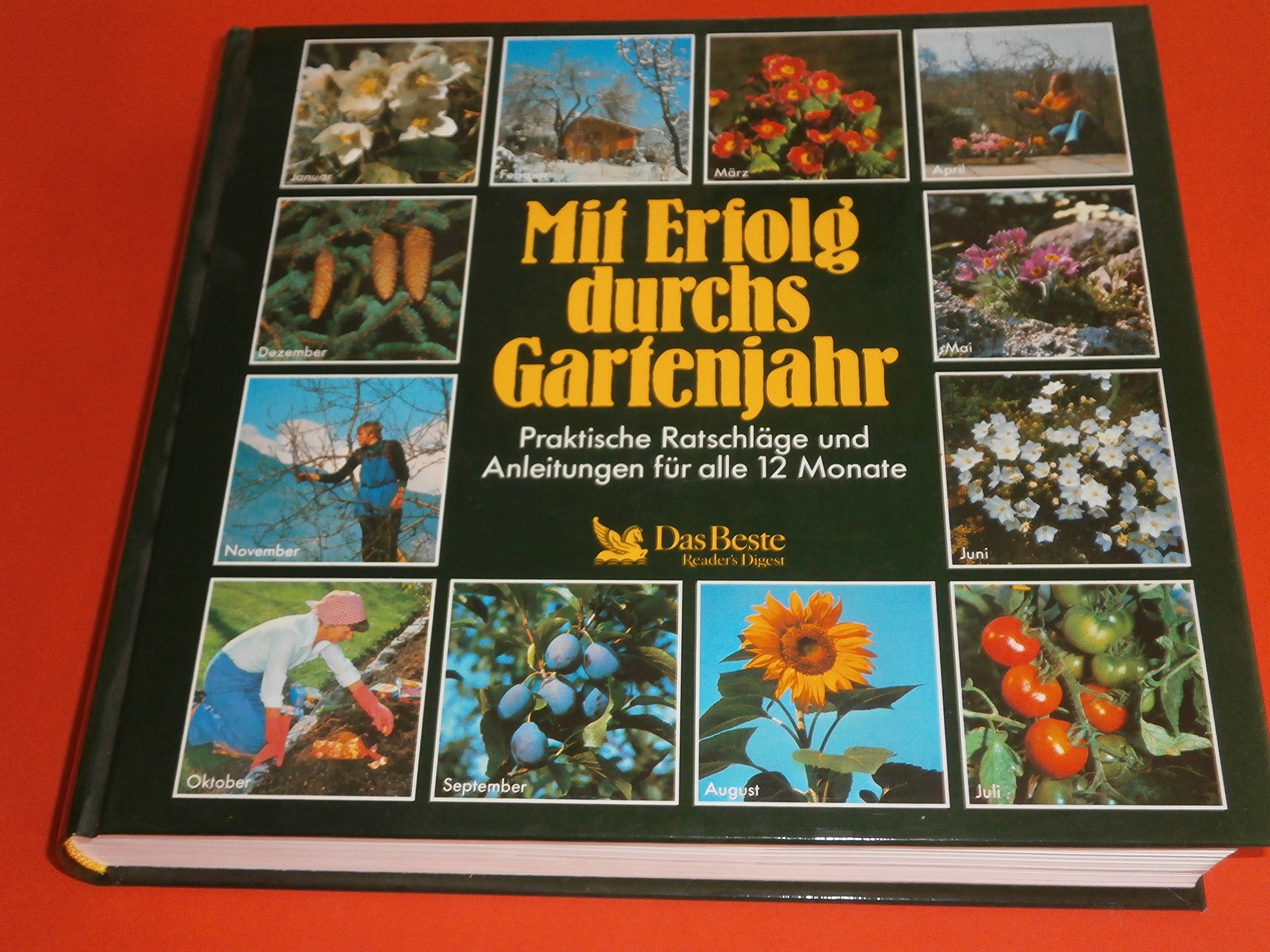 Mit Erfolg durchs Gartenjahr: Praktische Ratschläge und Anleitungen für alle 12 Monate Garden & Plants