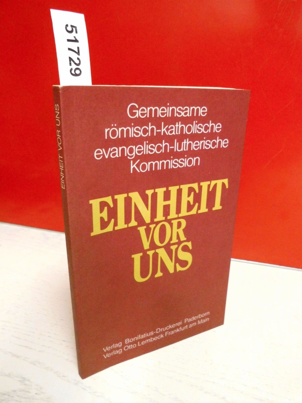 Einheit vor uns: Modelle, Formen und Phasen katholisch /lutherischer Kirchengemeinschaft Books