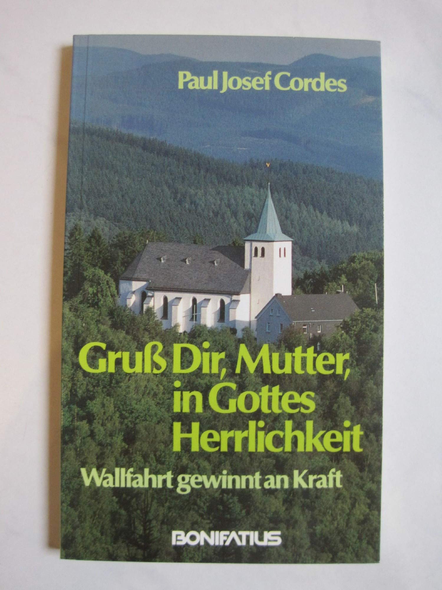 Gruss Dir, Mutter, in Gottes Herrlichkeit: Wallfahrt gewinnt an Kraft Books