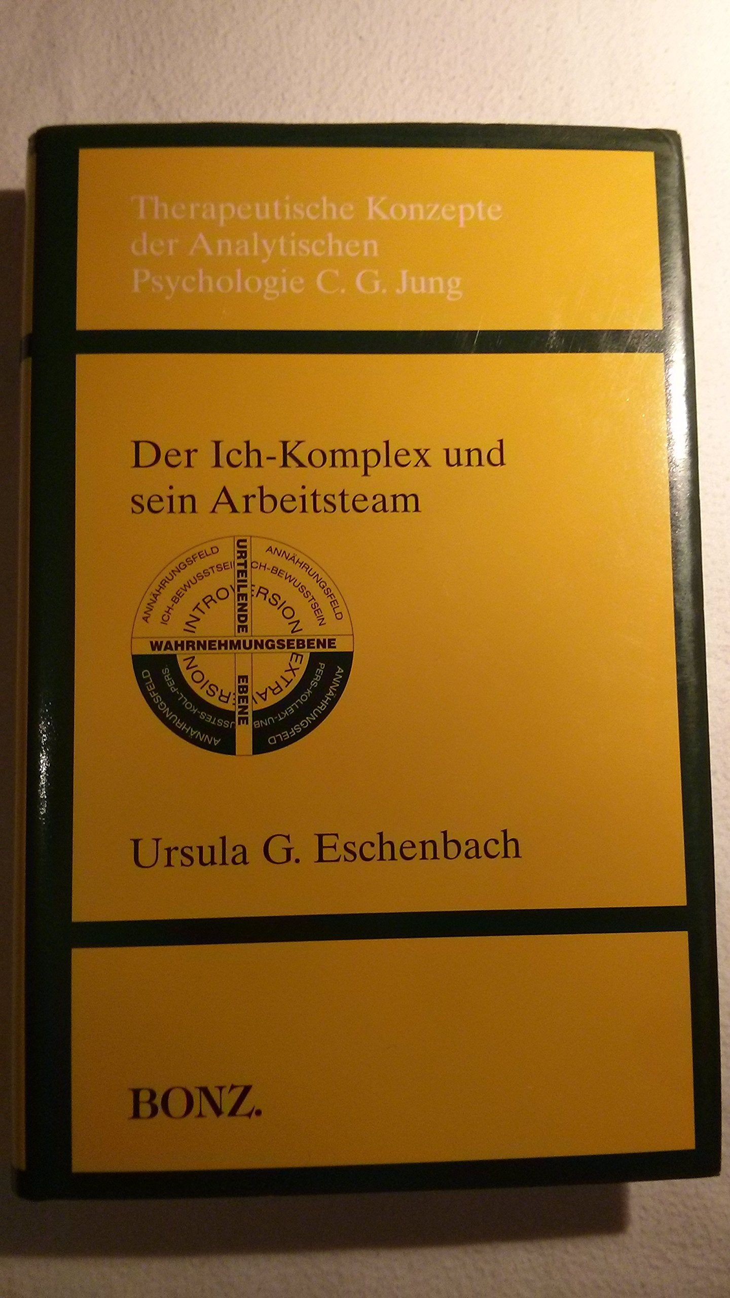 Therapeutische Konzepte der Analytischen Psychologie C. G. Jung, Bd.4, Der Ich-Komplex und sein Arbeitsteam Psychology