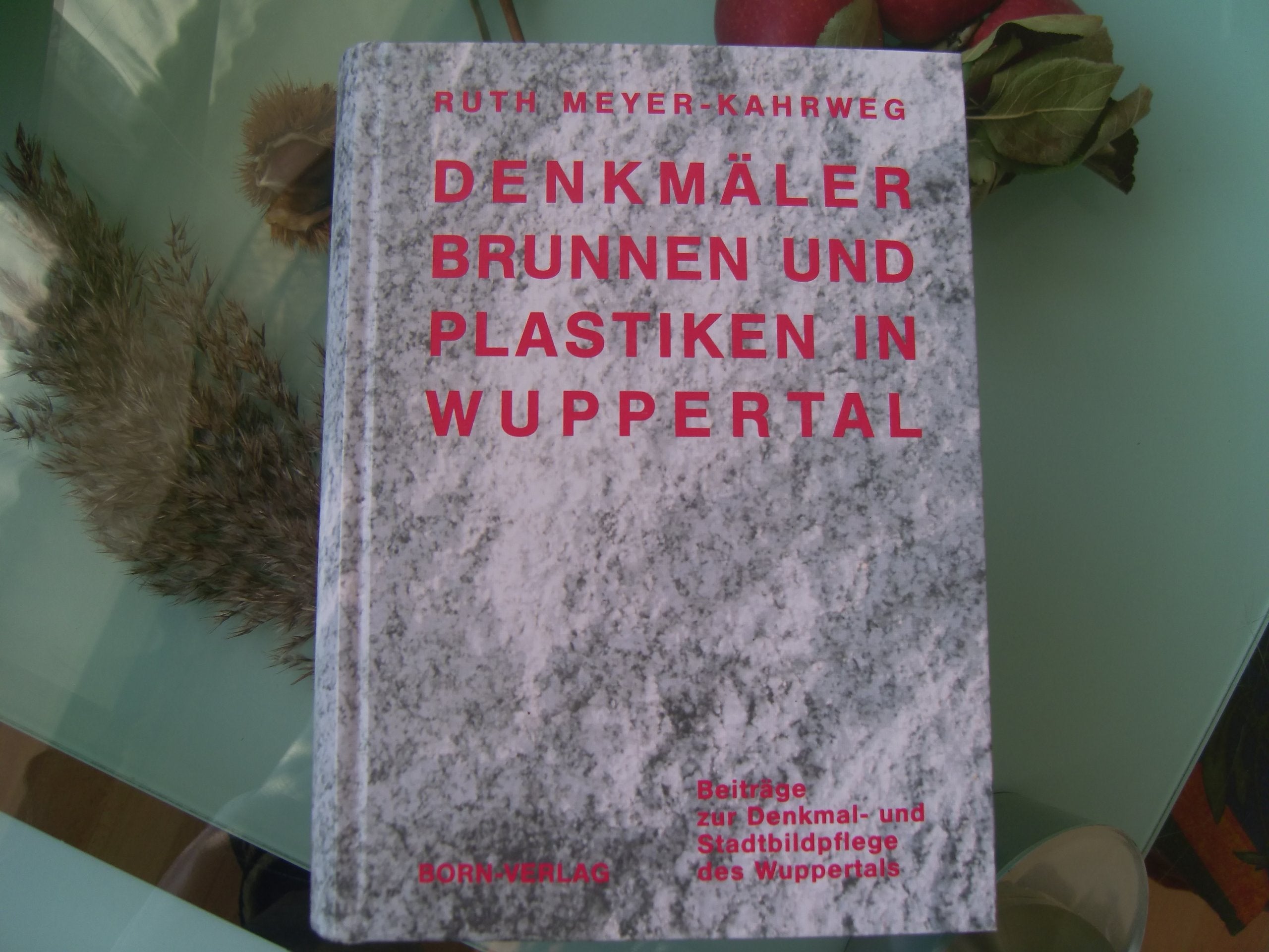 Denkmäler, Brunnen und Plastiken in Wuppertal: Biographien der beteiligten Künstler (Beiträge zur Denkmal- und Stadtbildpflege des Wuppertals) Politics & History